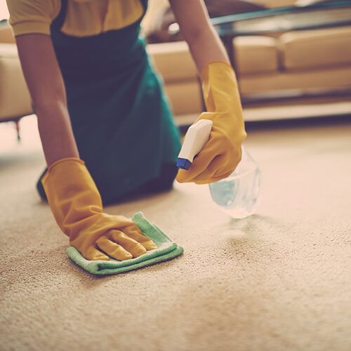 Carpet cleaning | Big Bob's Flooring Outlet Anchorage